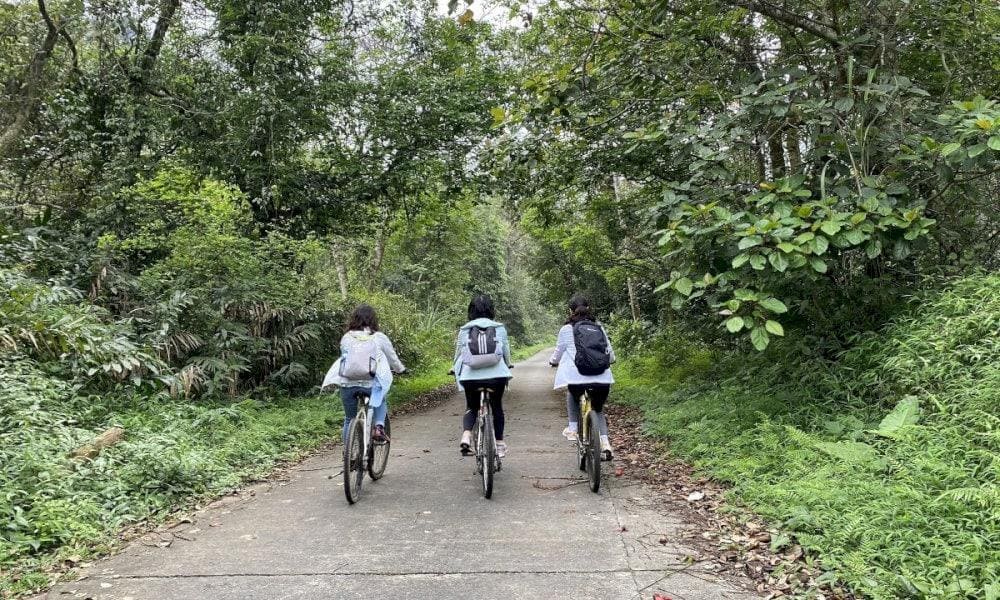 Đi bộ, đạp xe tham quan khu rừng là trải nghiệm thú vị tại đây. (Nguồn: Internet)